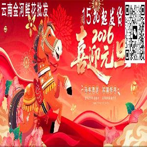 2026元旦节新年鲜花批发
