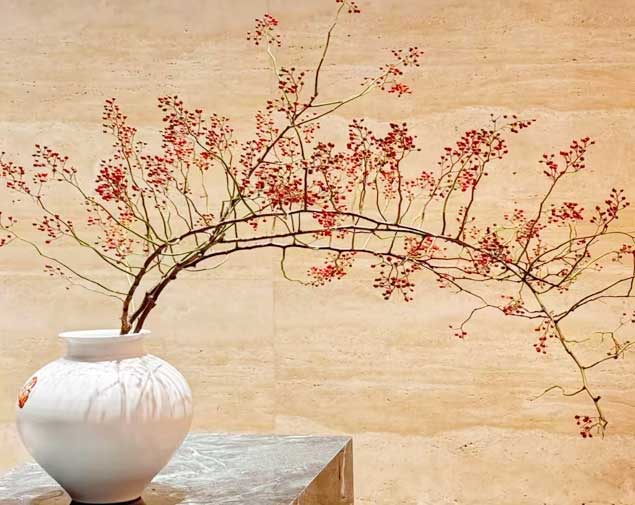 山归来红橙图