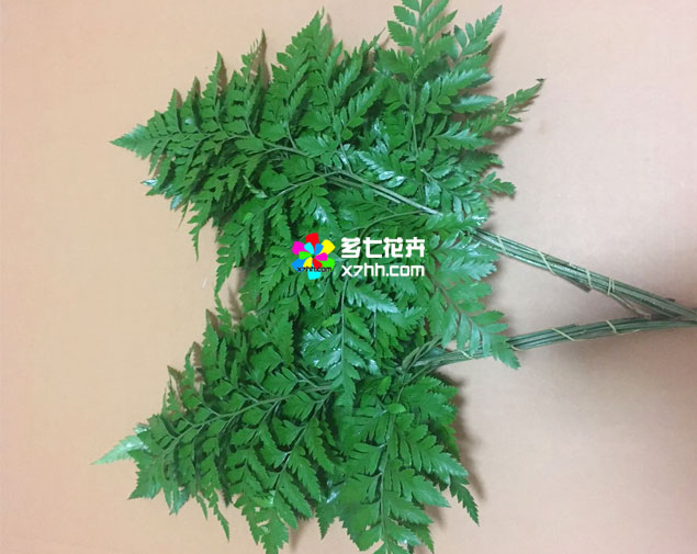 高山羊齿图