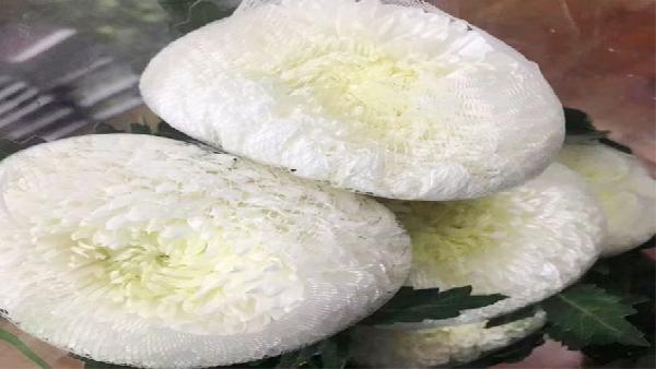花卉中心牡丹菊白批发图片展示