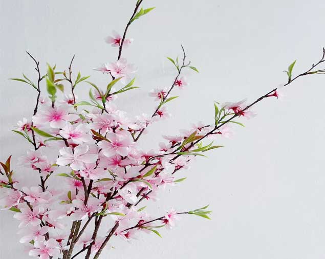 桃花枝粉图